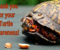 What is Lorem Ipsum? - 3