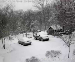 What is Lorem Ipsum? - 4